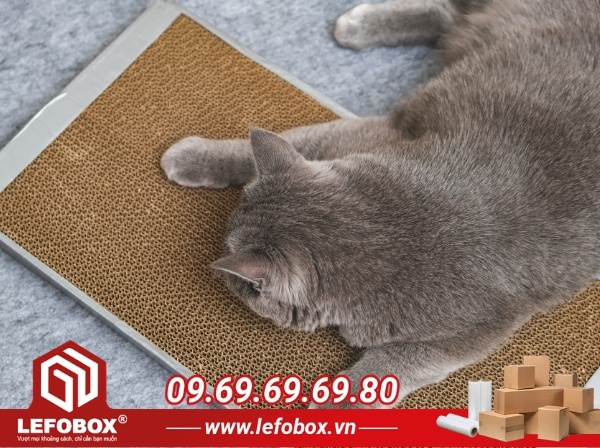 Bàn cào móng mèo bằng thùng carton