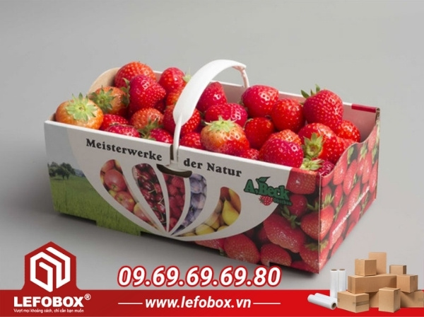 Hộp carton giúp bảo vệ và giữ độ ẩm cho dâu tây