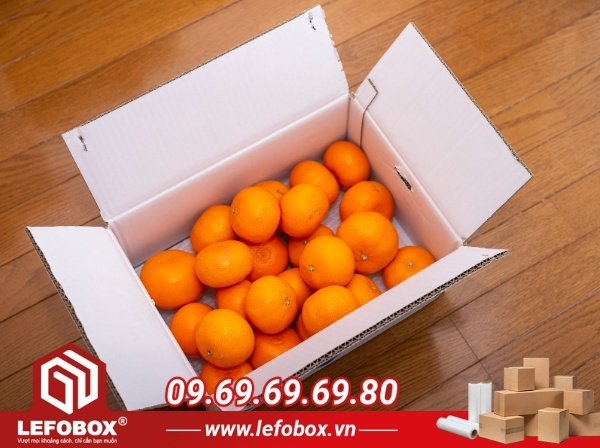 Các kiểu dáng thùng carton đựng cam