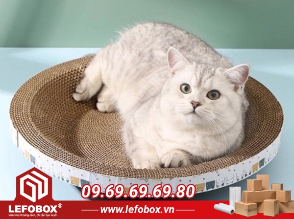 Cách làm bàn cào móng cho mèo bằng giấy carton