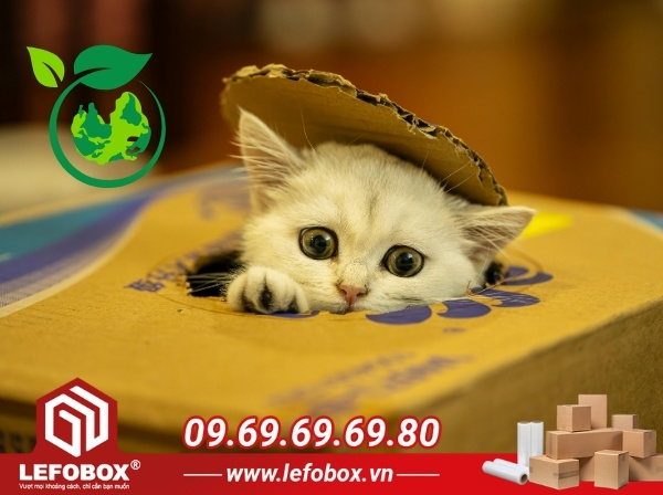 Cách xử lý nhà giấy sau khi sử dụng để không gây hại cho môi trường