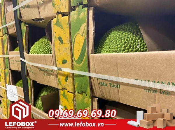 Câu hỏi thường gặp về thùng carton đựng mít