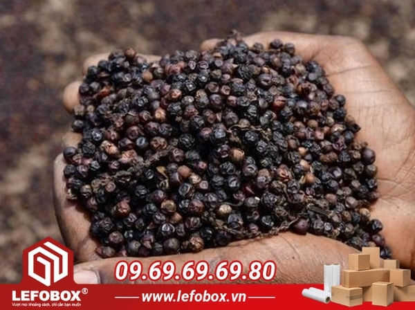 Câu hỏi thường gặp về thùng carton đựng tiêu