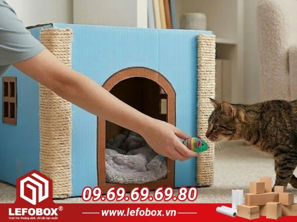 Đặt vị trí và cho mèo làm quen với căn nhà mới