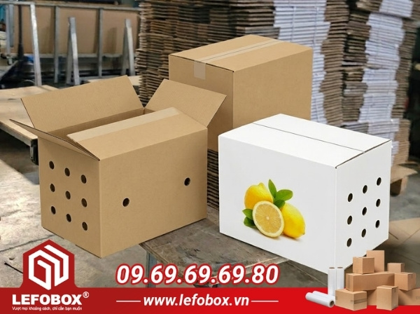 Đặc điểm của thùng carton đựng chanh