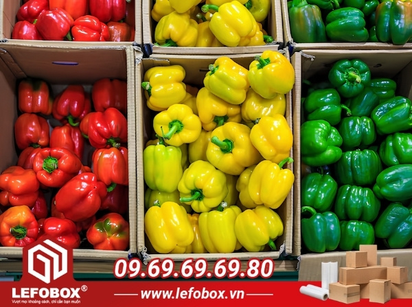 Đặc điểm của thùng carton đựng ớt chuông