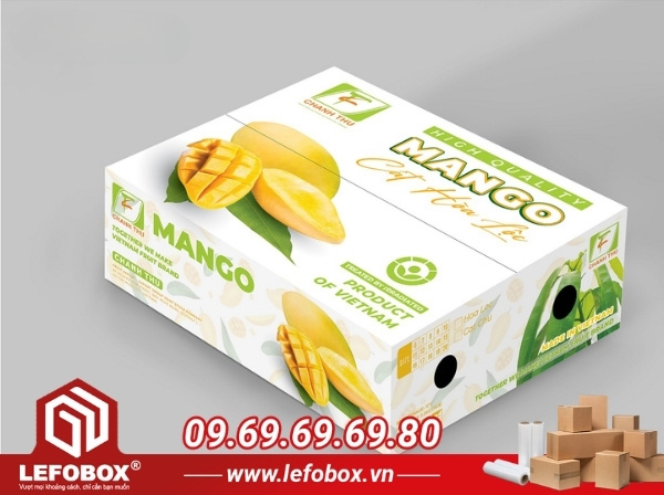 Đặc điểm thùng carton đựng xoài xuất khẩu chất lượng