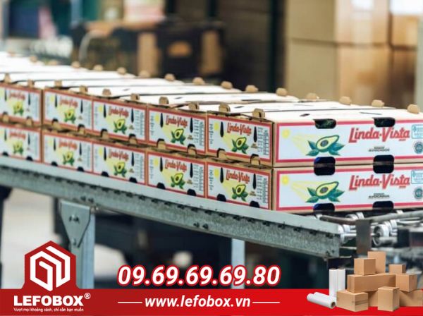 Địa chỉ cung cấp thùng carton đựng bơ giá rẻ, chuyên nghiệp LEFOBOX