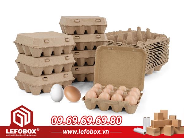 Egg carton, hay hộp đựng trứng được thiết kế đặc biệt để bảo vệ trứng trong quá trình vận chuyển và lưu trữ