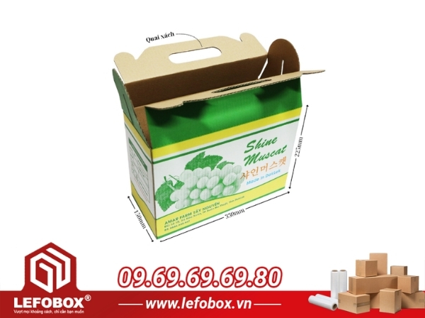 Hộp carton có quai xách đựng thực phẩm