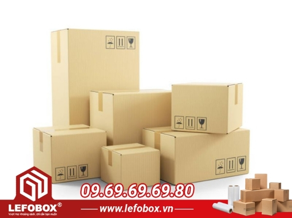 Hộp carton đa dạng kích thước và kiểu dáng