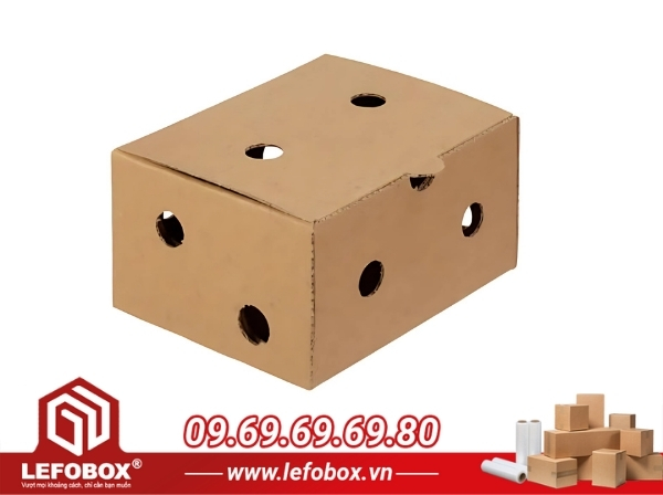 Hộp carton đóng hàng vận chuyển có đục lỗ