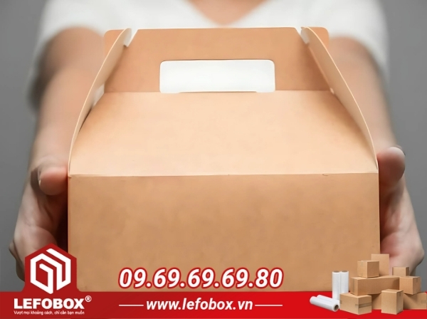 Hộp carton đóng hàng vận chuyển có tay xách