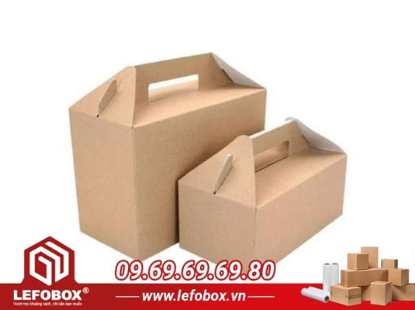 Hộp carton hình chữ nhật có tay cầm