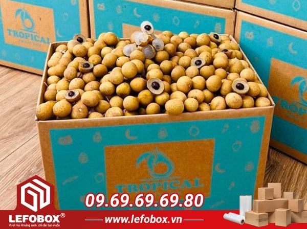 Hướng dẫn đóng gói thùng carton đựng nhãn đúng cách