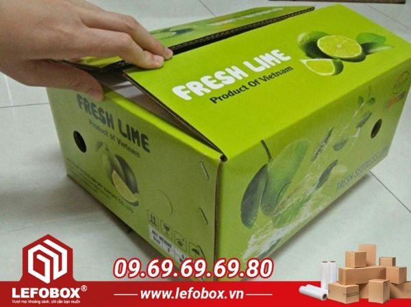 Hướng dẫn cách đóng gói bưởi an toàn, hạn chế dập nát