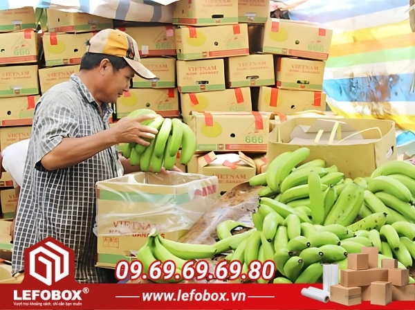 Cách đóng gói thùng carton đựng chuối xuất khẩu