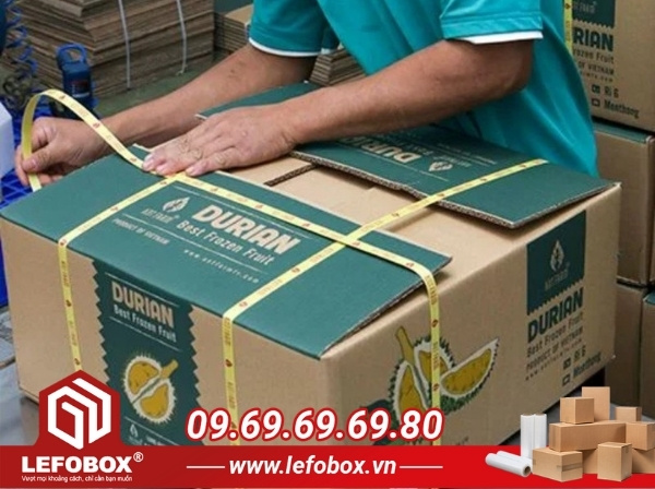 Hướng dẫn đóng gói sầu riêng trong thùng carton an toàn, không hư hỏng