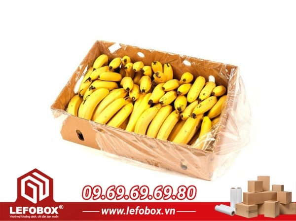 Kích thước của thùng carton đựng chuối