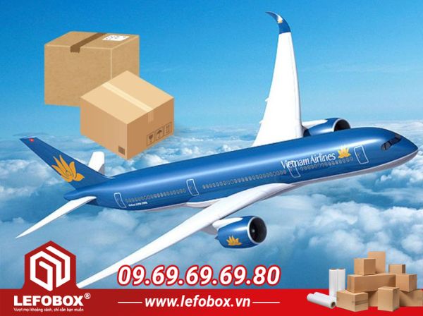 Kích thước thùng carton đi máy bay ký gửi tại Vietnam Airlines