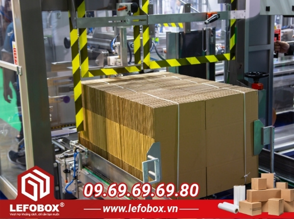 Kiểm tra kỹ lưỡng và vận chuyển thùng carton, giao cho khách hàng