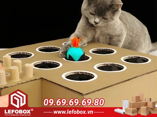Làm đồ chơi cho mèo bằng bìa carton