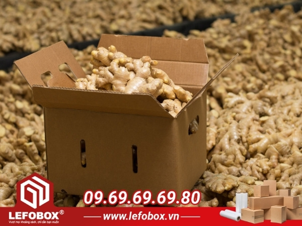 LefoBox - Địa chỉ sản xuất thùng carton đựng gừng xuất khẩu giá rẻ chất lượng