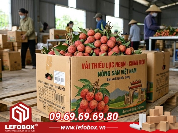 LefoBox địa chỉ phân phối và sản xuất thùng carton đựng vải thiều giá rẻ chất lượng