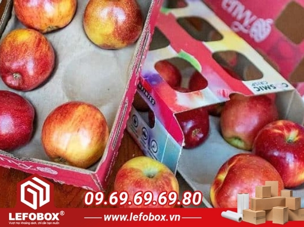 Mẫu hộp carton đựng táo có khay định hình