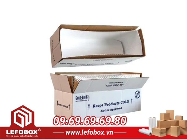 Mẫu thùng carton đựng đẹp đựng đồ đông lạnh