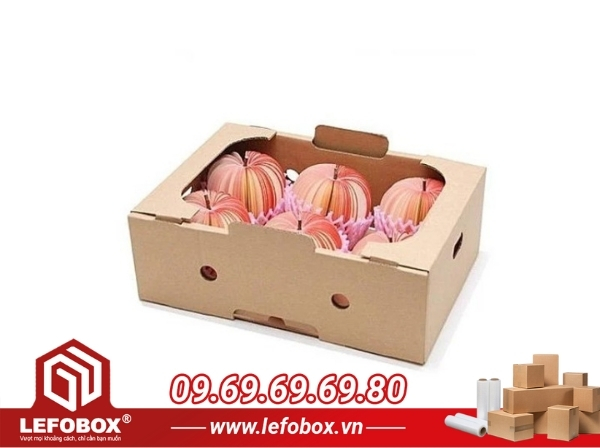 Mẫu thùng carton đựng trái cây