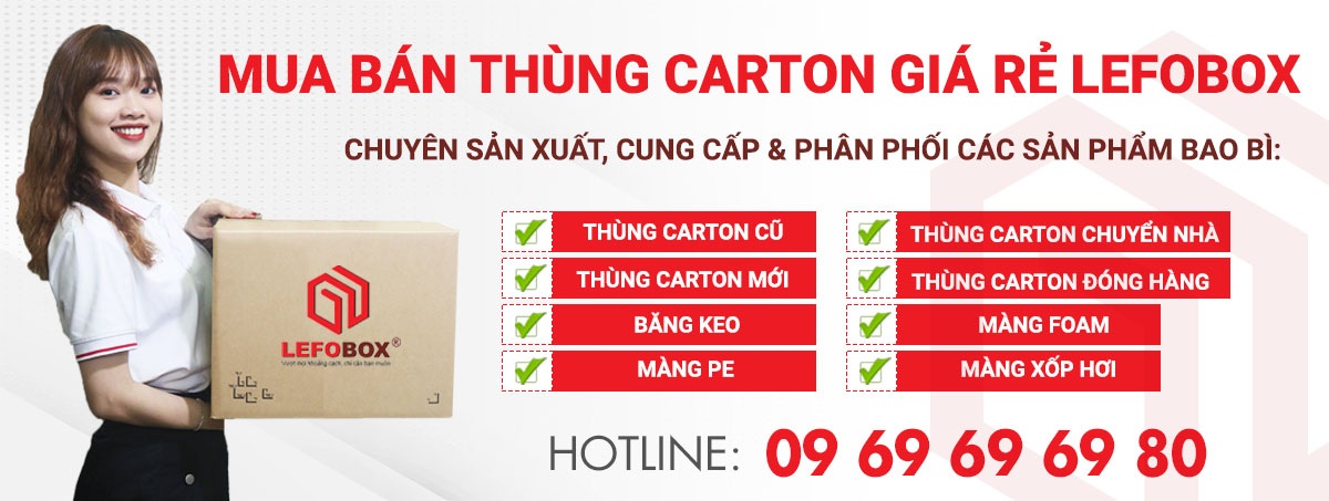 Mua thùng carton chuyển nhà, dọn nhà Bình Dương tại LefoBox