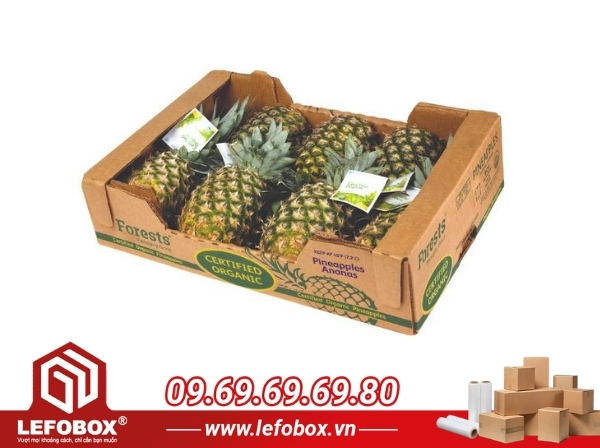 Nhu cầu sử dụng thùng carton đựng dứa
