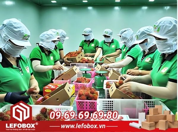 Nhu cầu sử dụng thùng carton Long An