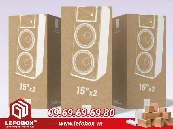 phân loại thùng carton đựng loa