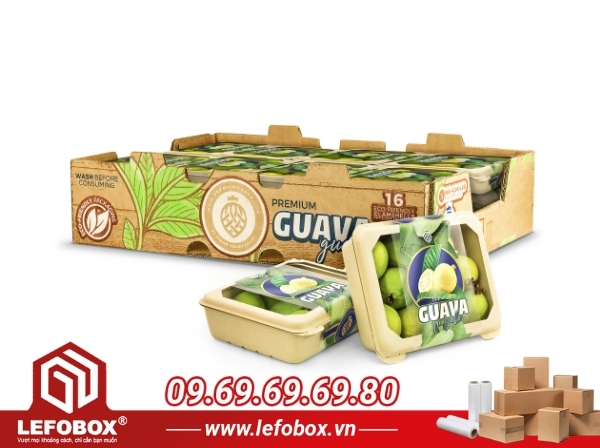 Phân loại thùng carton đựng ổi