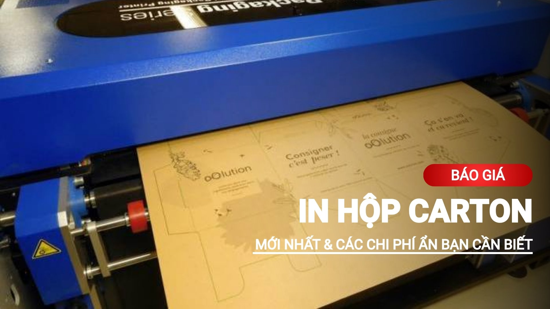 Báo giá in hộp carton 2026 và các chi phí ẩn bạn cần biết