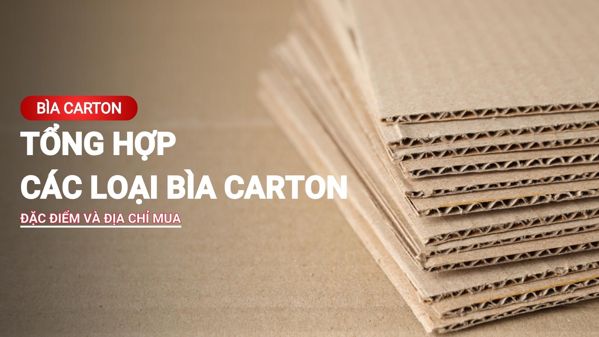 Bìa carton - Tổng hợp các loại bìa carton, đặc điểm và địa chỉ mua