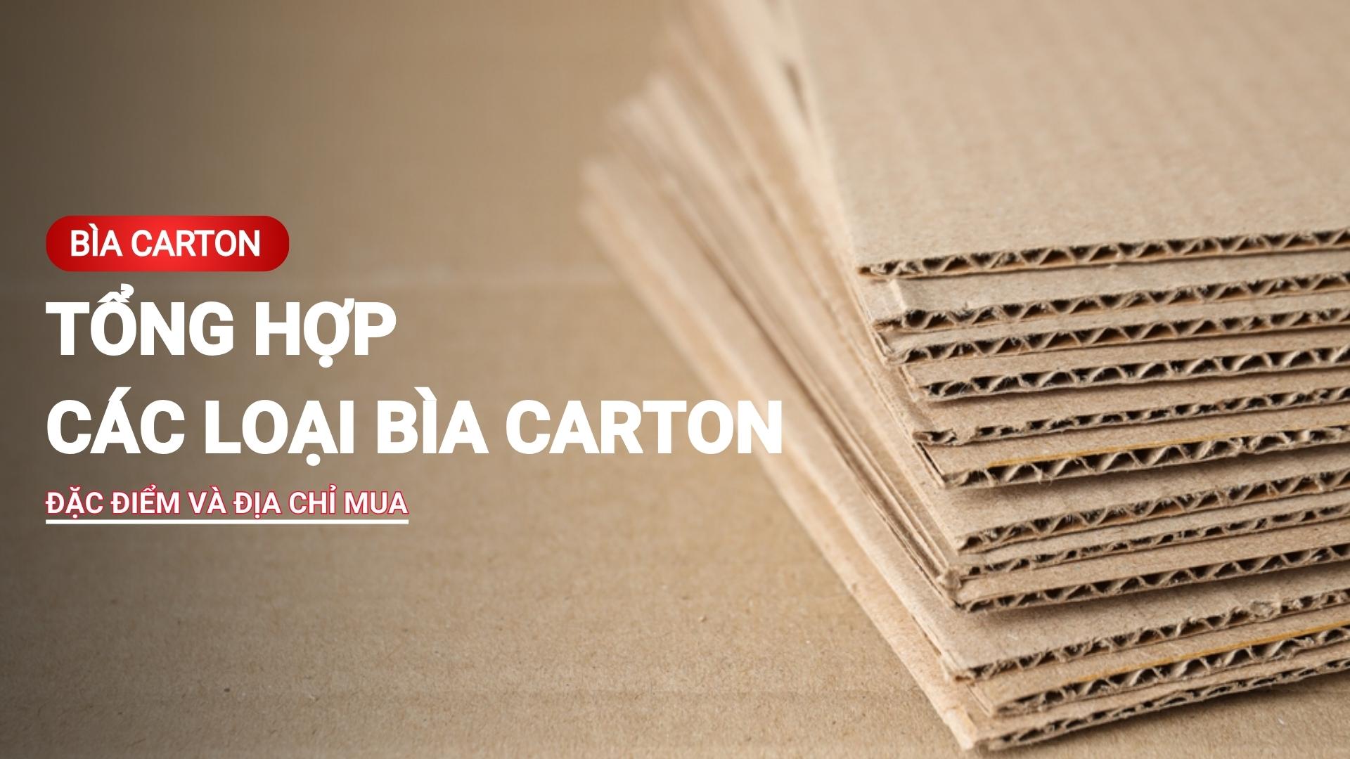 Bìa carton - Tổng hợp các loại bìa carton, đặc điểm và địa chỉ mua