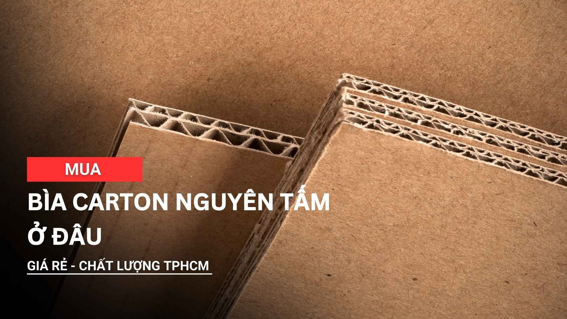 Mua bìa carton nguyên tấm ở đâu giá rẻ chất lượng tại TPHCM?