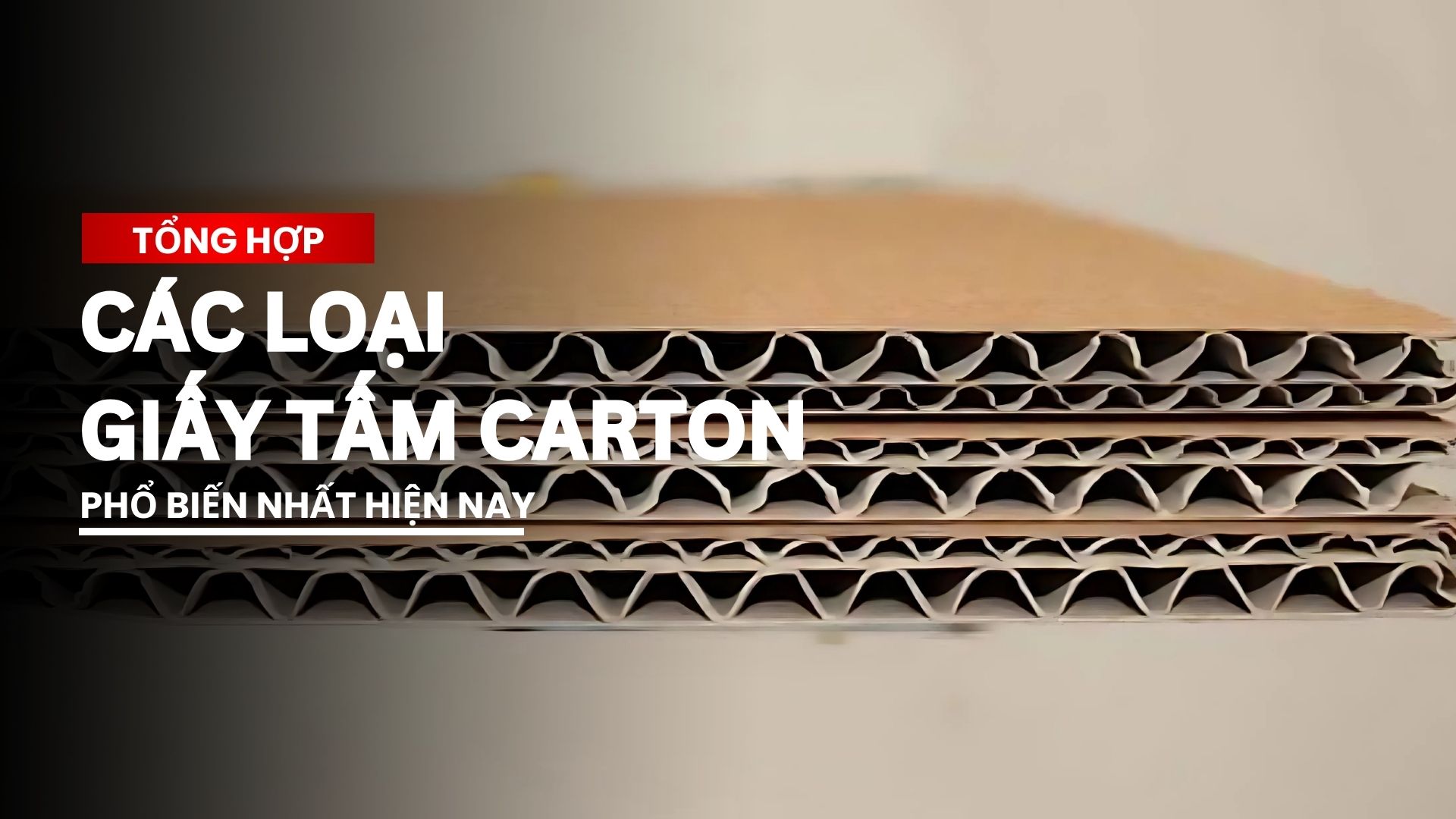 Các loại giấy tấm carton phổ biến nhất hiện nay