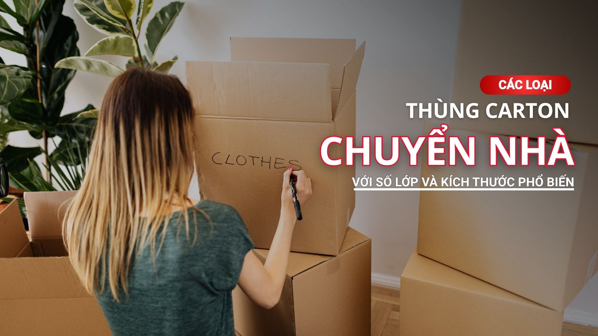 Các loại thùng carton chuyển nhà với số lớp và kích thước phổ biến