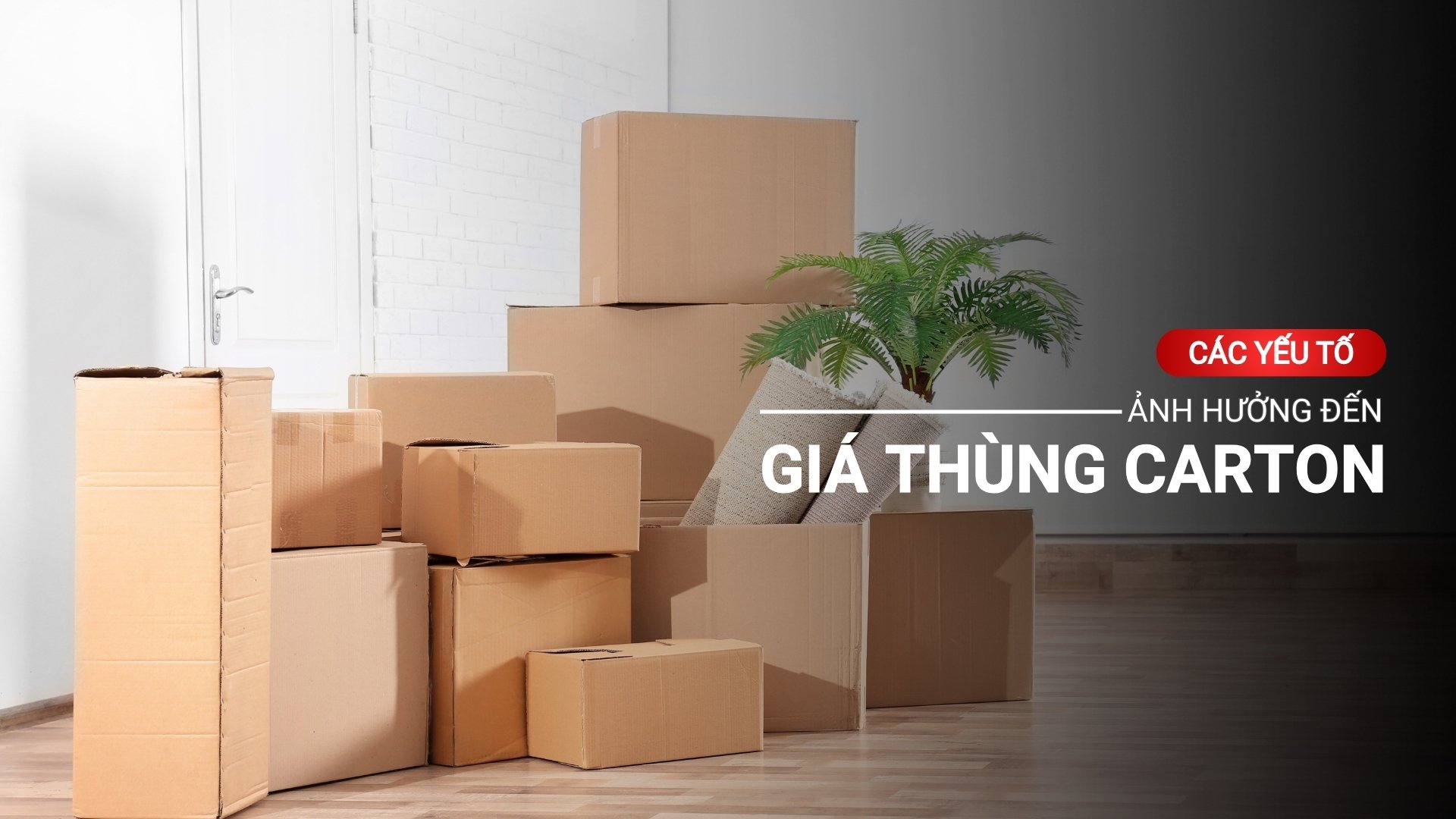 Các yếu tố ảnh hưởng giá thùng carton nhất định phải biết