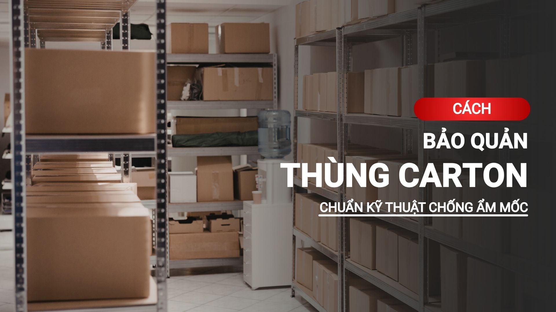 Cách bảo quản thùng carton trong kho chuẩn kỹ thuật, tránh ẩm mốc