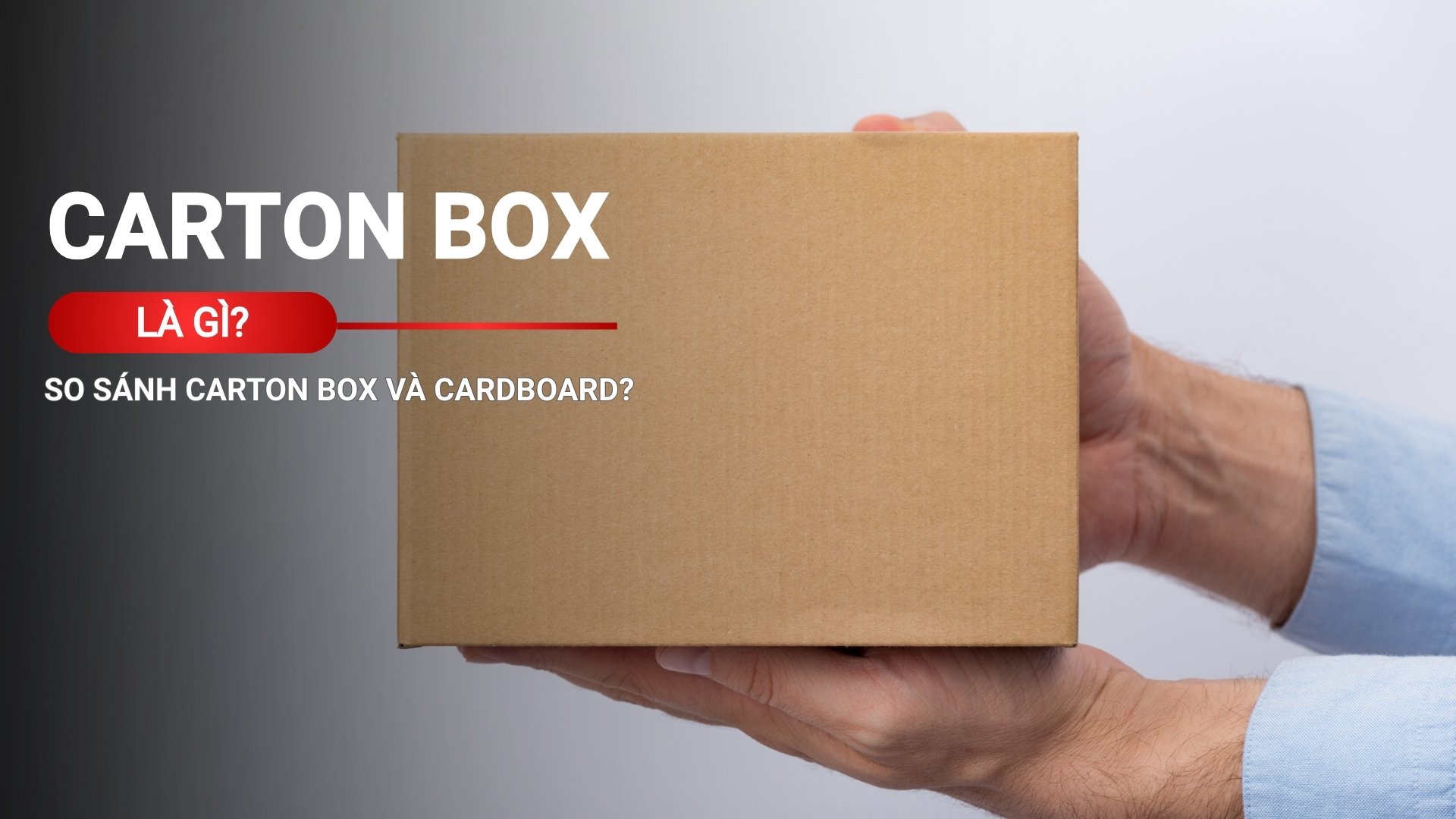 Carton box là gì? So sánh carton box và cardboard?