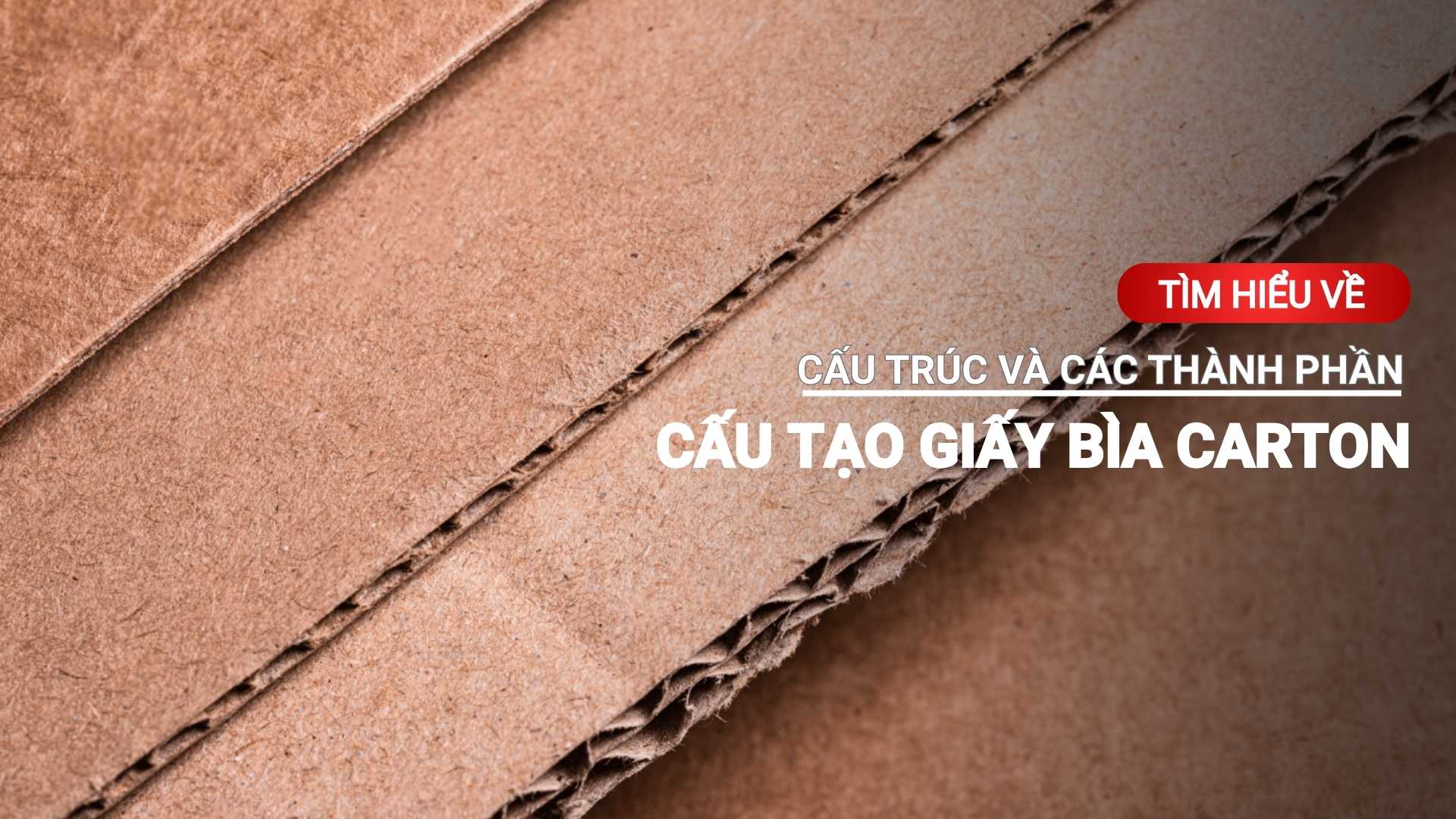 Tìm hiểu về cấu trúc và các thành phần cấu tạo giấy bìa carton