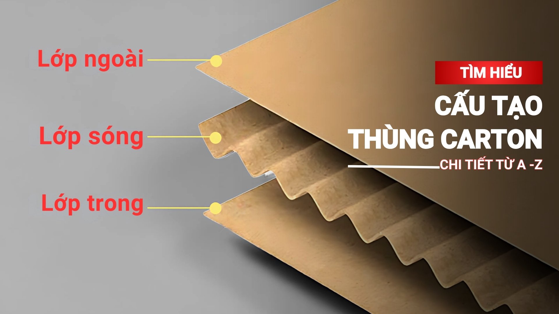 Tìm hiểu cấu tạo thùng carton chi tiết từ A-Z