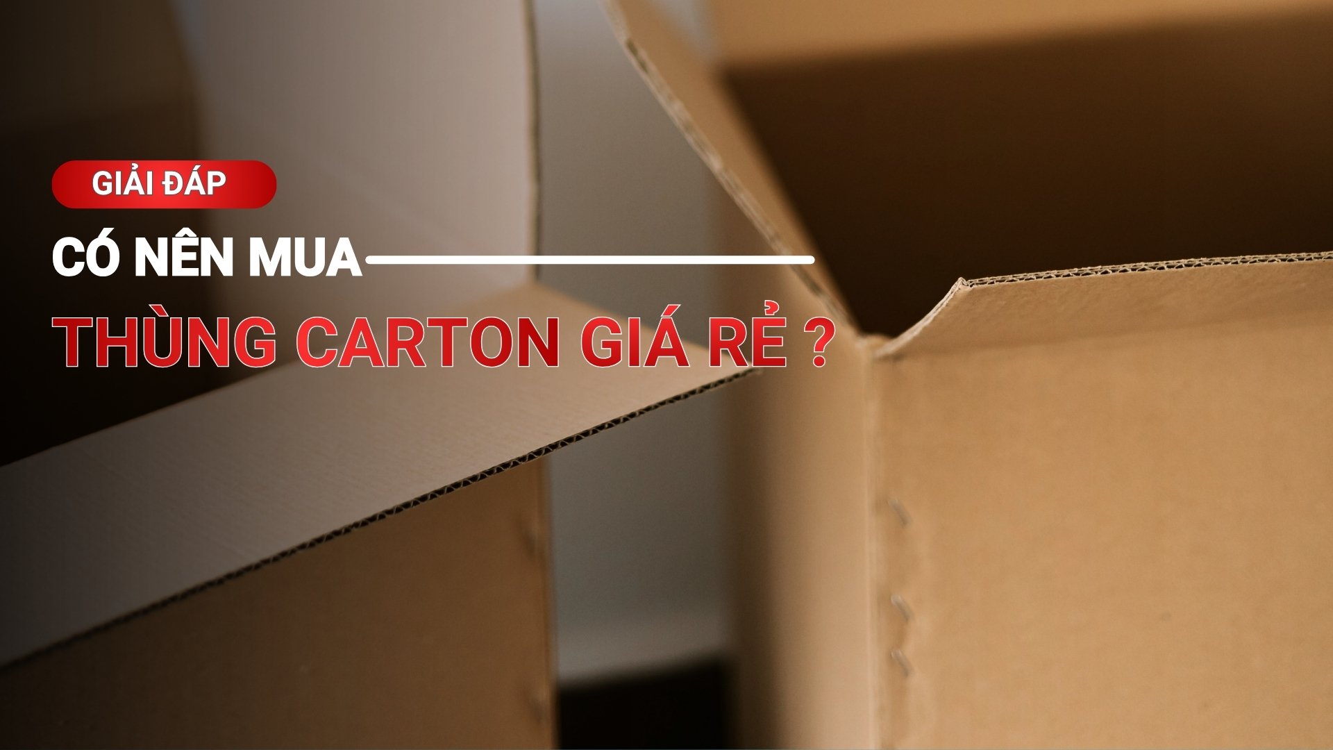 Giải đáp chi tiết: Có nên mua thùng carton giá rẻ không?