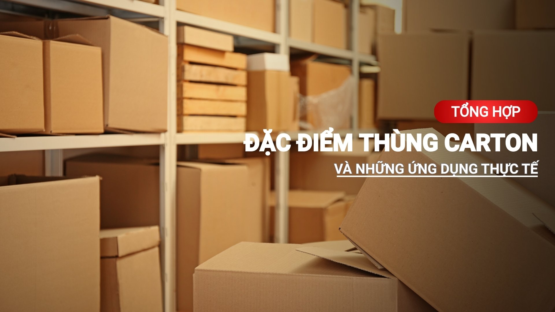 Tổng hợp đặc điểm thùng carton và ứng dụng thực tế