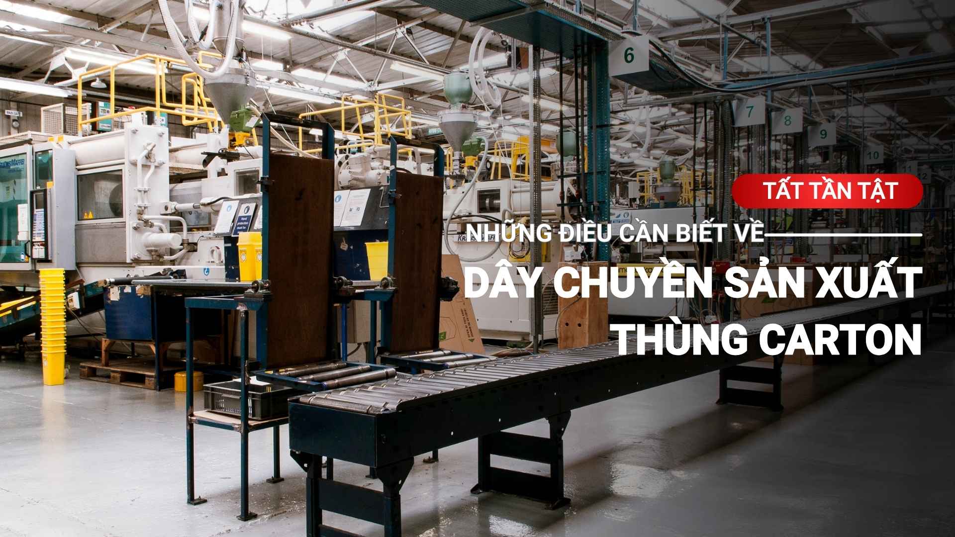 "Tất tần tật" những điều cần biết về dây chuyền sản xuất thùng carton